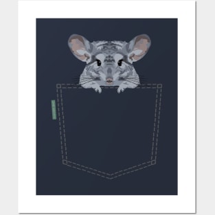 Pocket Chinchilla Posters and Art